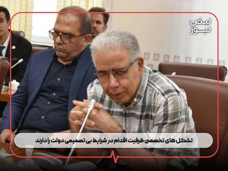 تشکل های تخصصی ظرفیت اقدام در شرایط بی تصمیمی دولت را دارند