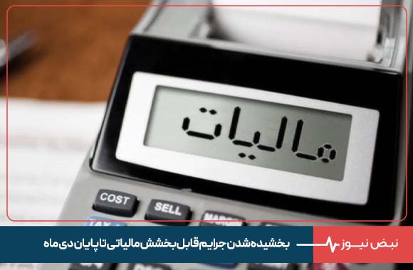 بخشیده شدن جرایم قابل بخشش مالیاتی تا پایان دی ماه